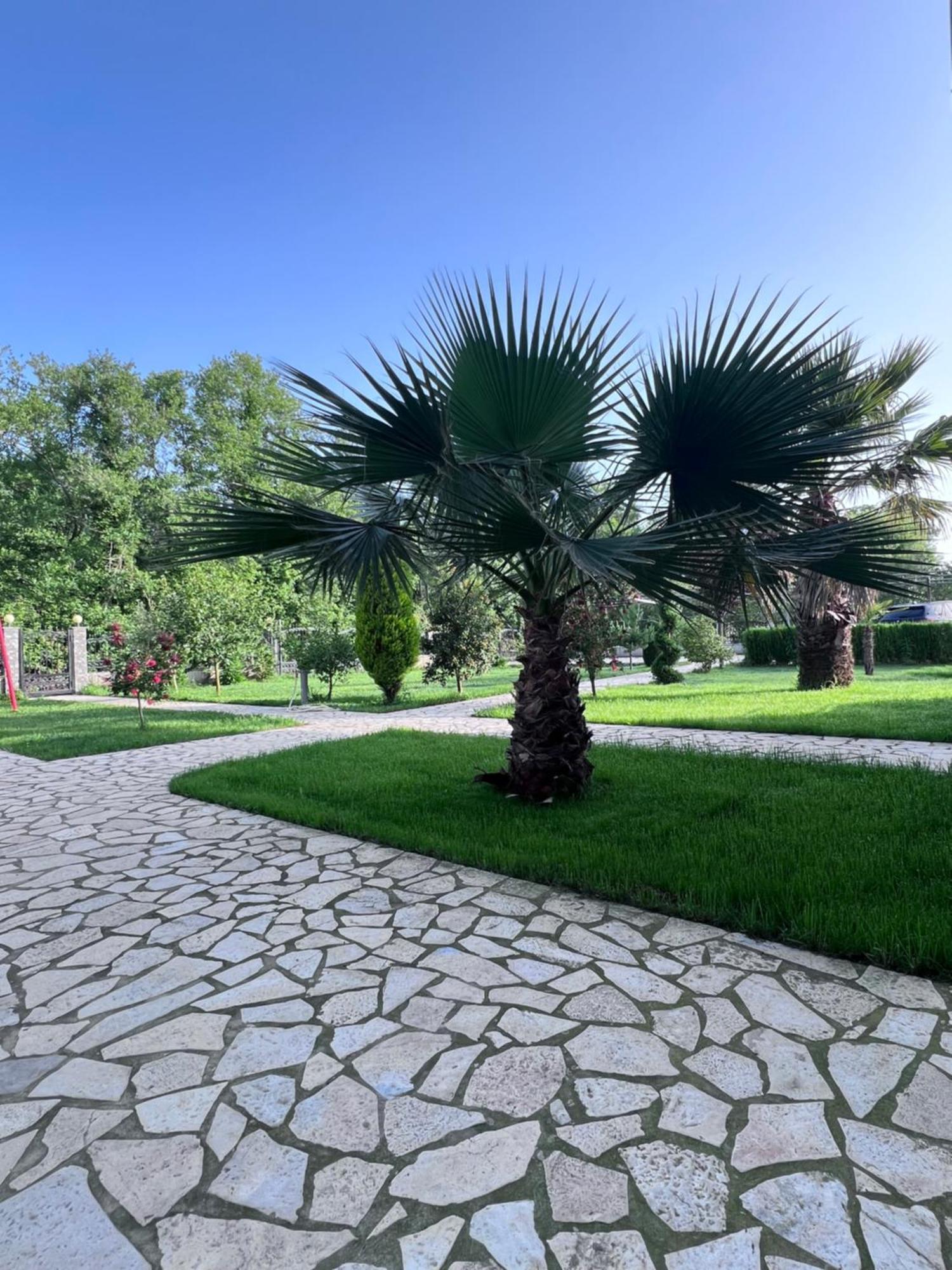 Residence Leora Улцинь Екстер'єр фото